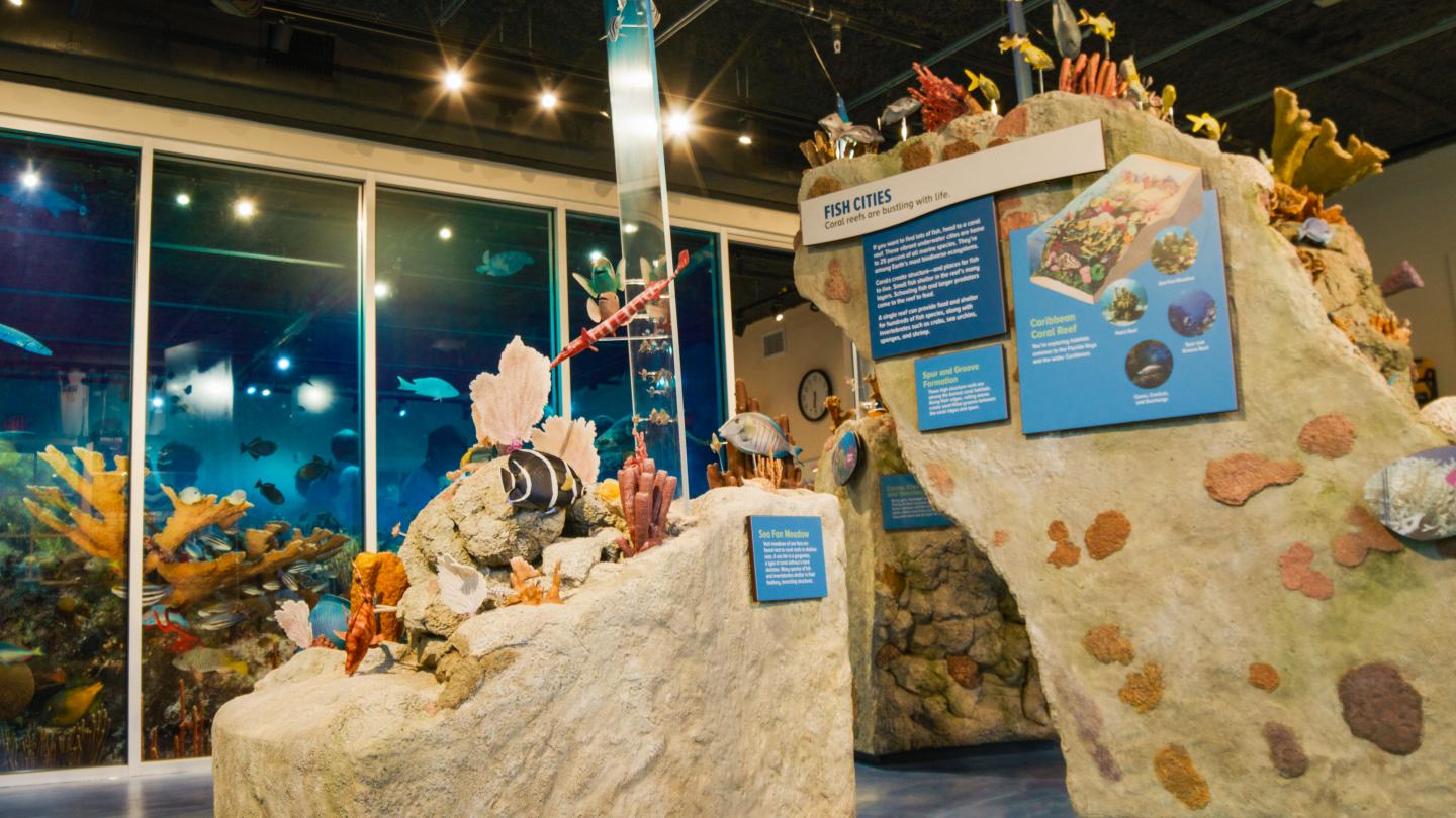 Aquarium exhibit featuring coral displays and educational signs.