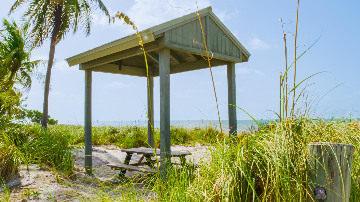 Beach pavilion with picnic table, surrounded by palm trees and tall grass.