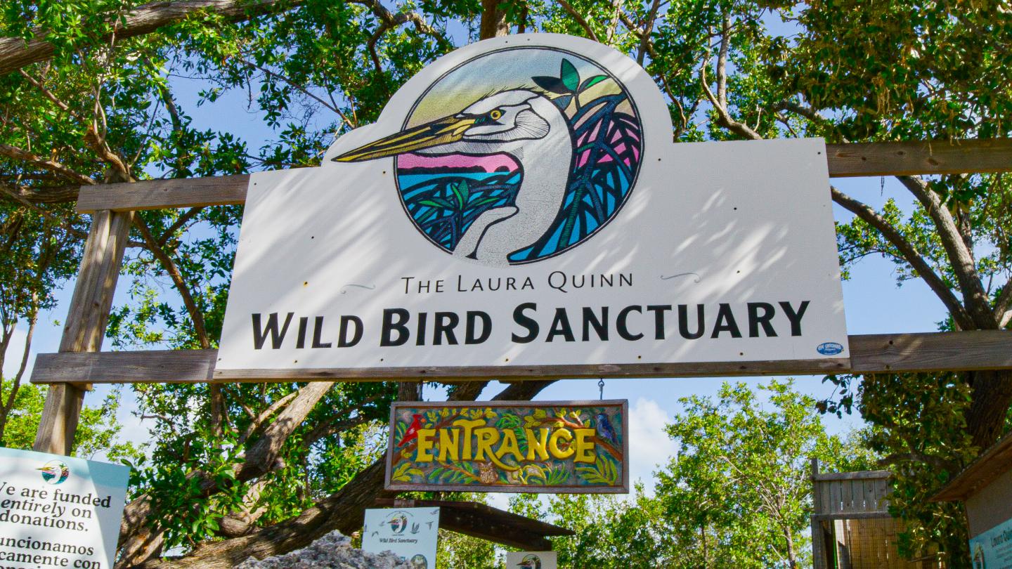 Wild Bird Sanctuary entrance sign with a colorful bird logo, surrounded by trees.