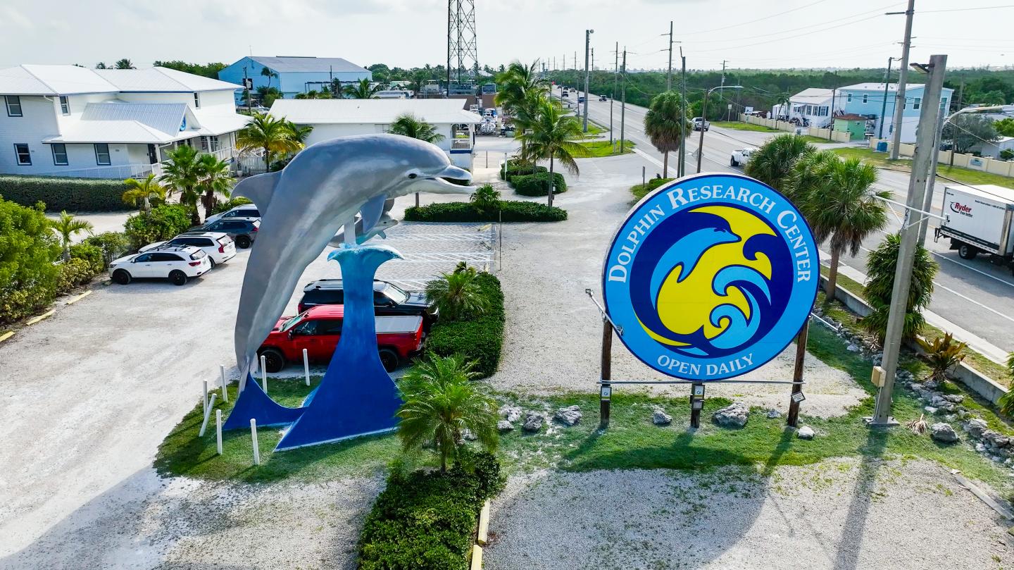 Dolphin statue beside a colorful water park sign in a coastal town setting.