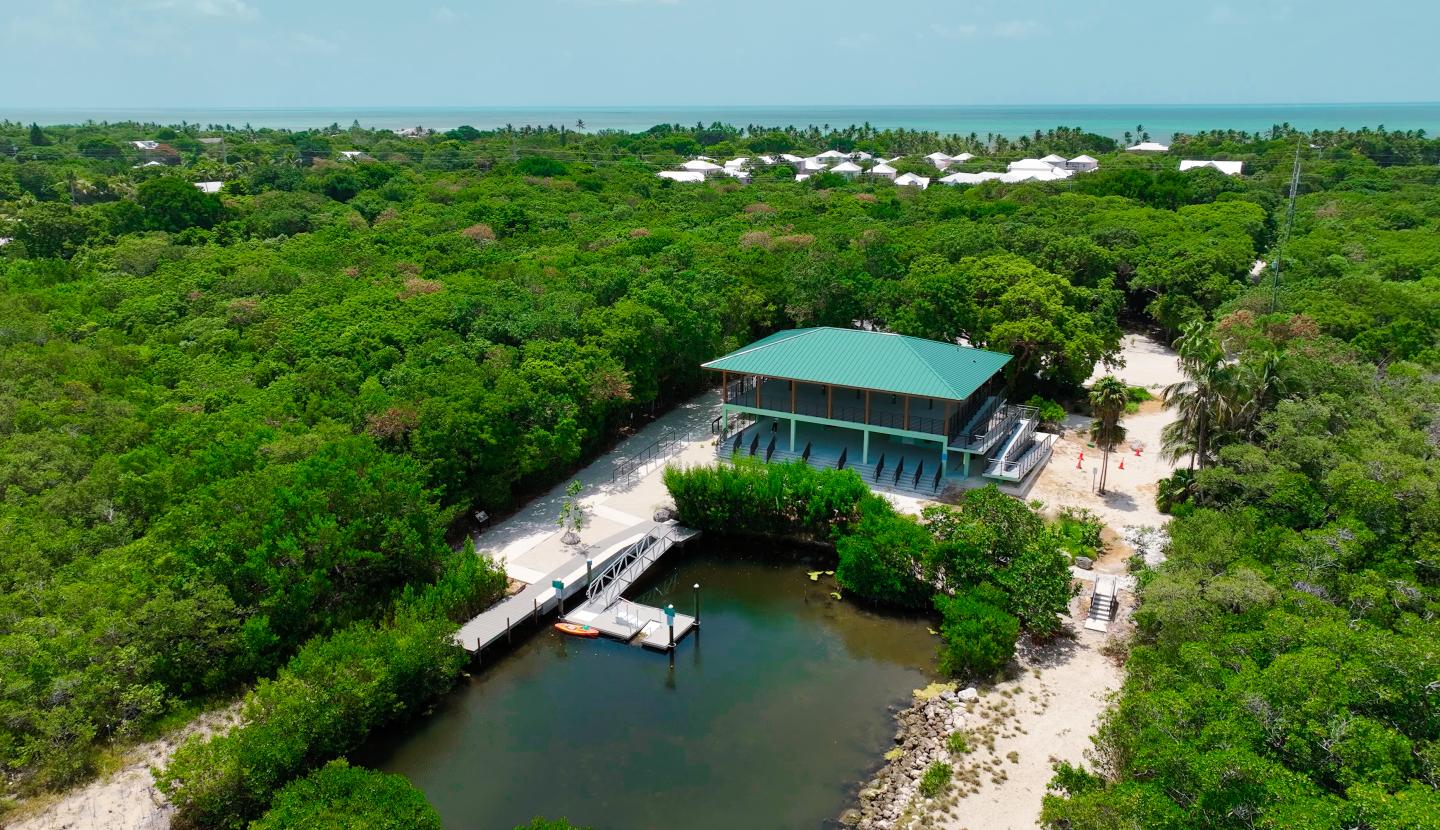 Aerial view of a house with a green roof, surrounded by trees and a small dock on a waterway.