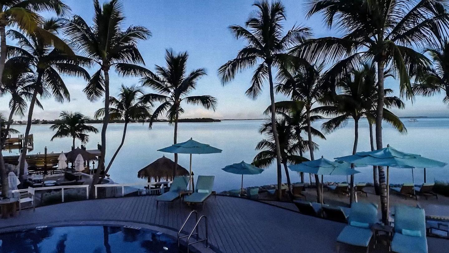 Tropical resort pool and beach with palm trees, lounge chairs, and ocean view