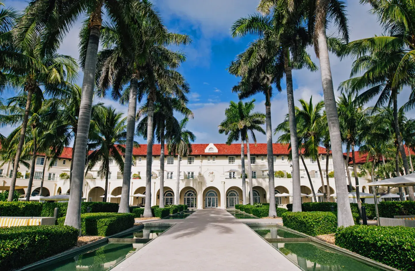 Palm-lined walkway leading to a white colonial-style building with red roof