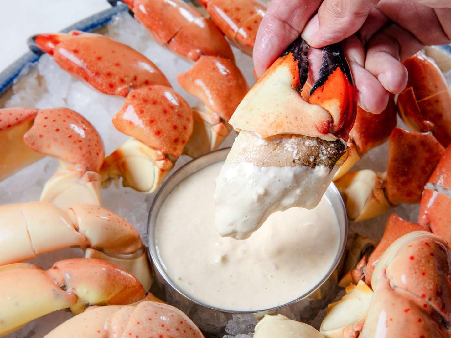 Hand dipping a crab claw into creamy sauce among cooked crab legs