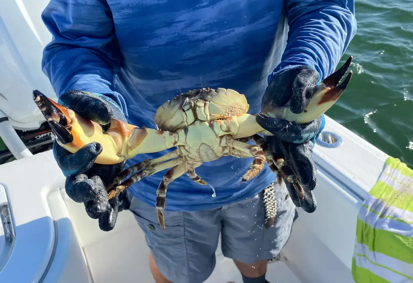 Person holding a large crab on a boat deck.