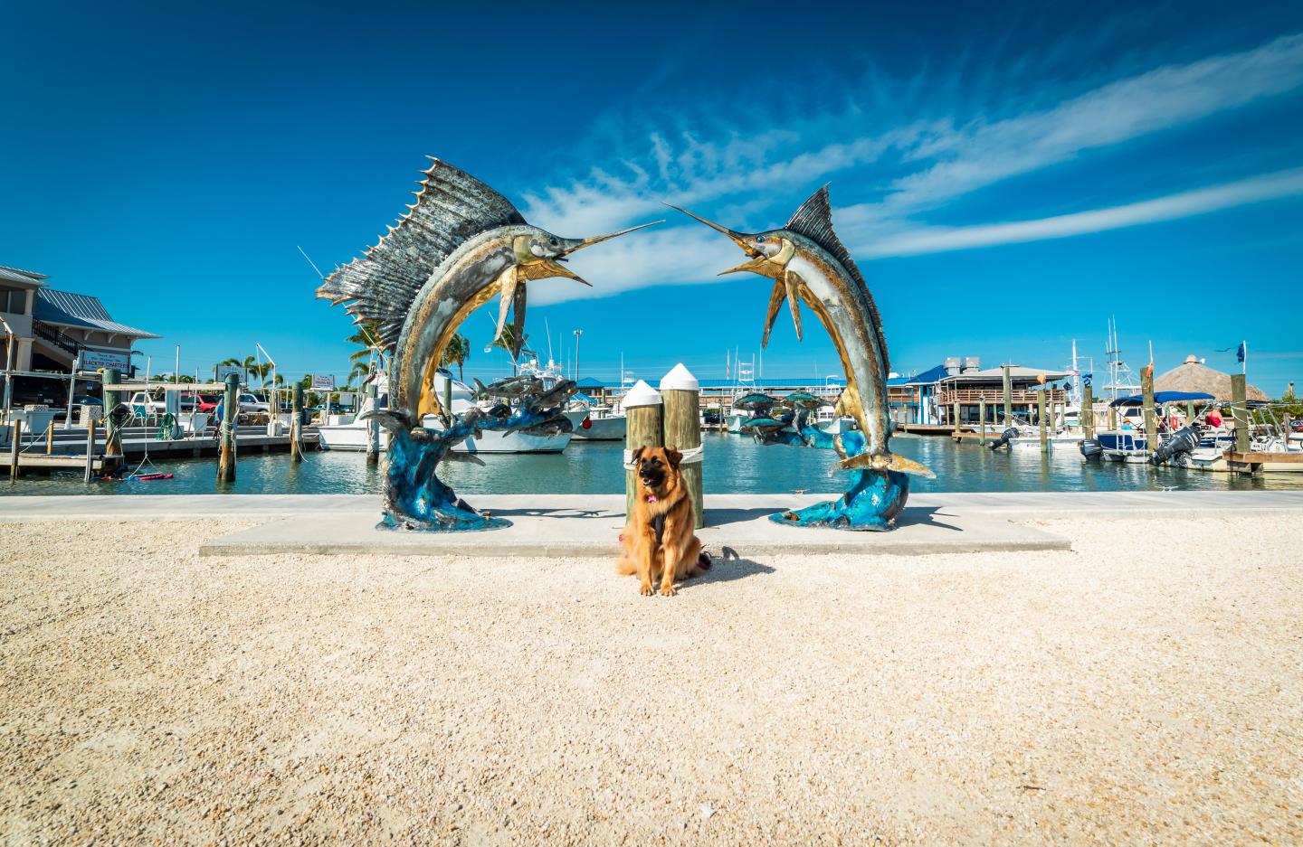 Sculpture of leaping dolphins over a beach walkway by a marina under blue sky