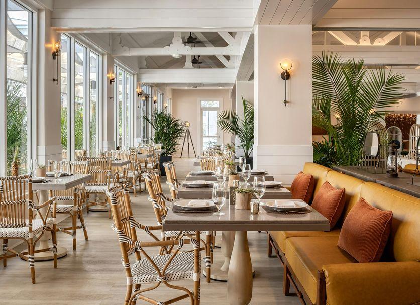 Elegant sunlit restaurant dining room with rattan chairs, greenery, and orange banquette seating.