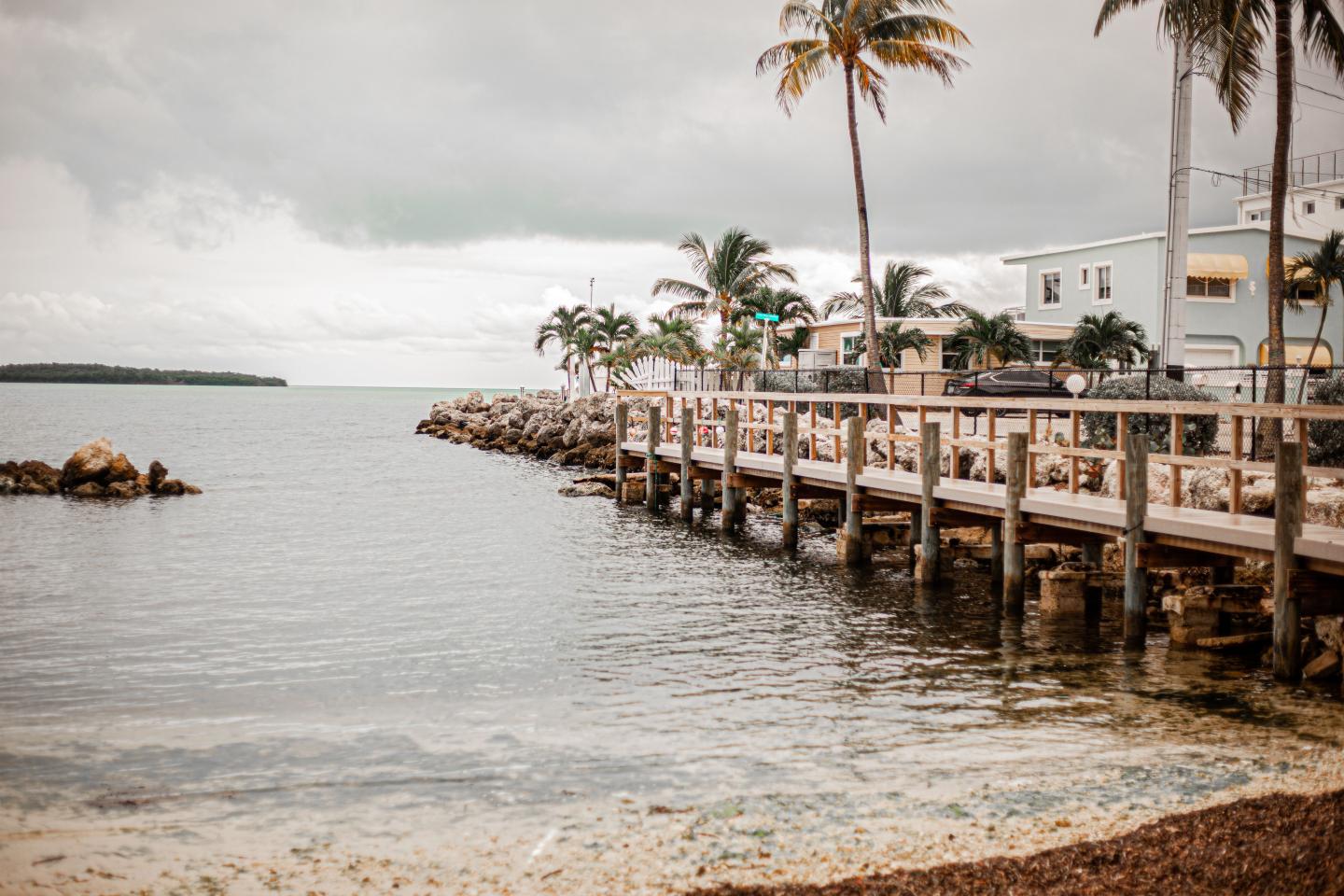 Wooden pier lined with palm trees extends over calm coastal water.