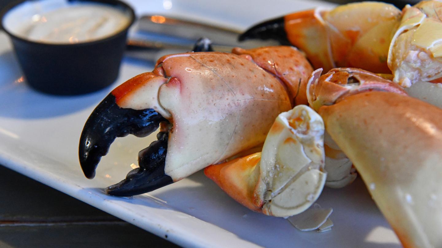 Crab claws and legs on a white plate with dipping sauce