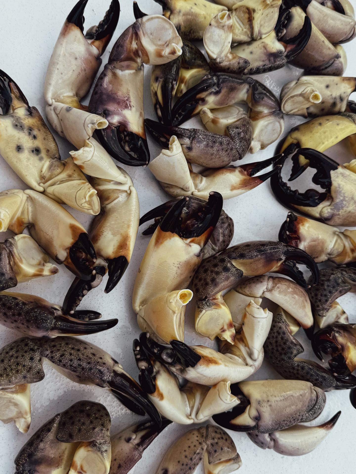Close-up of chopped raw crab pieces with shells and claws.