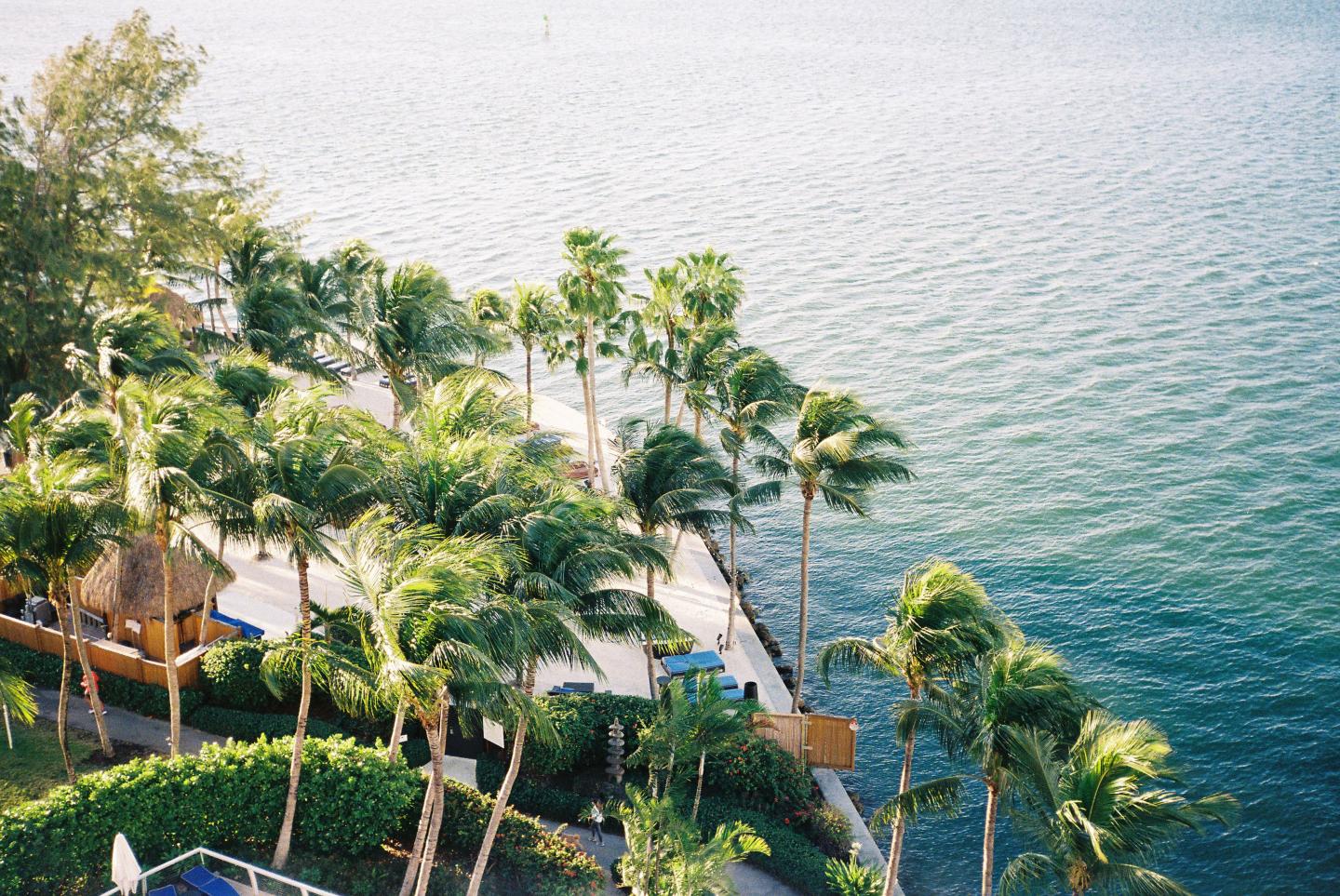 Aerial view of palm trees and resort gardens beside turquoise ocean water