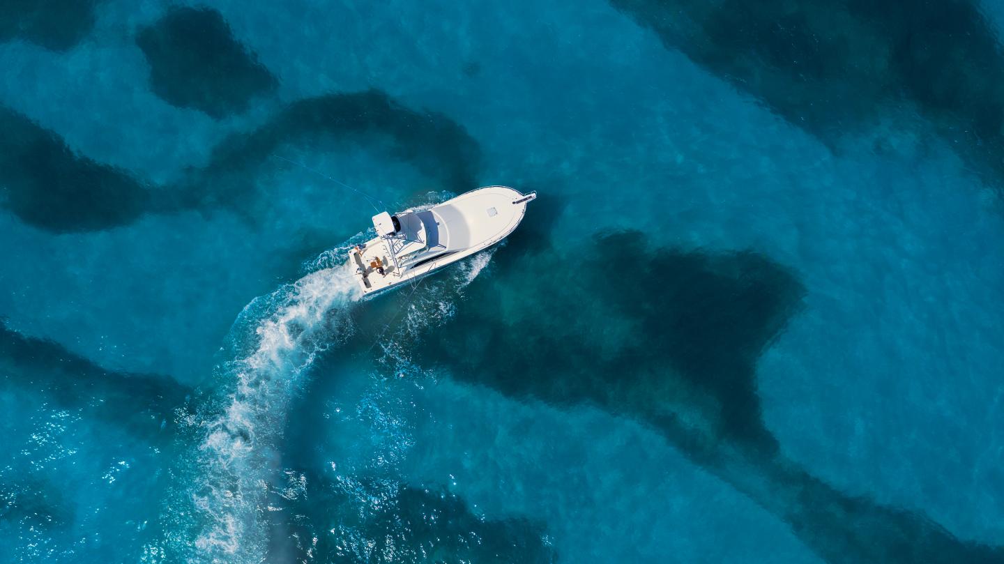Aerial view of a white speedboat curving through turquoise water.