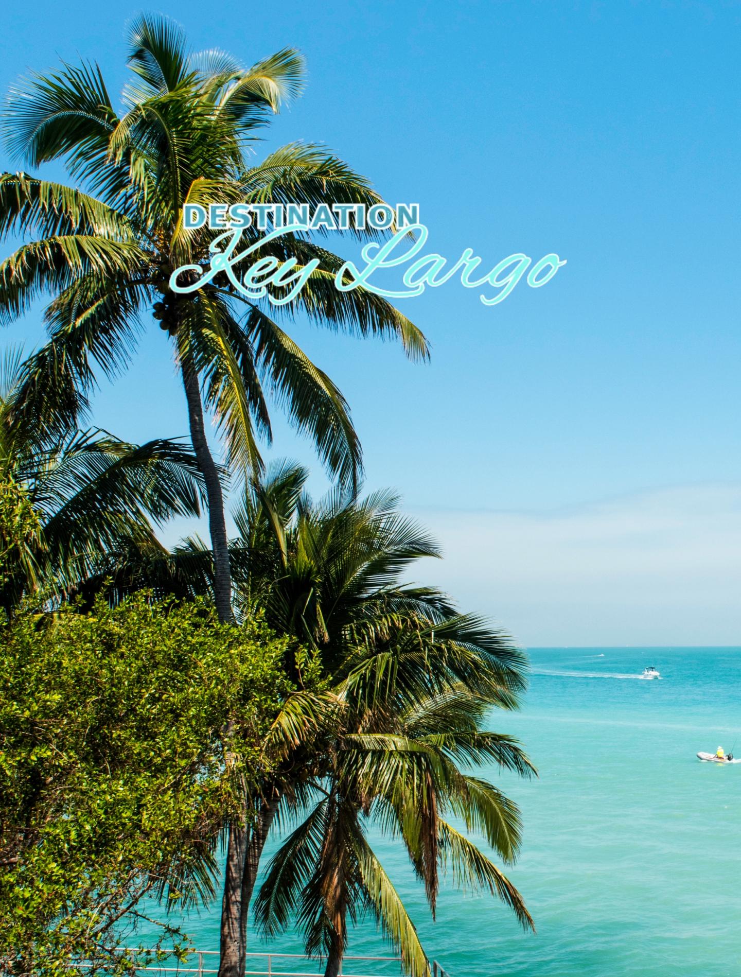 Tropical coastline with palm trees and turquoise ocean under a blue sky.