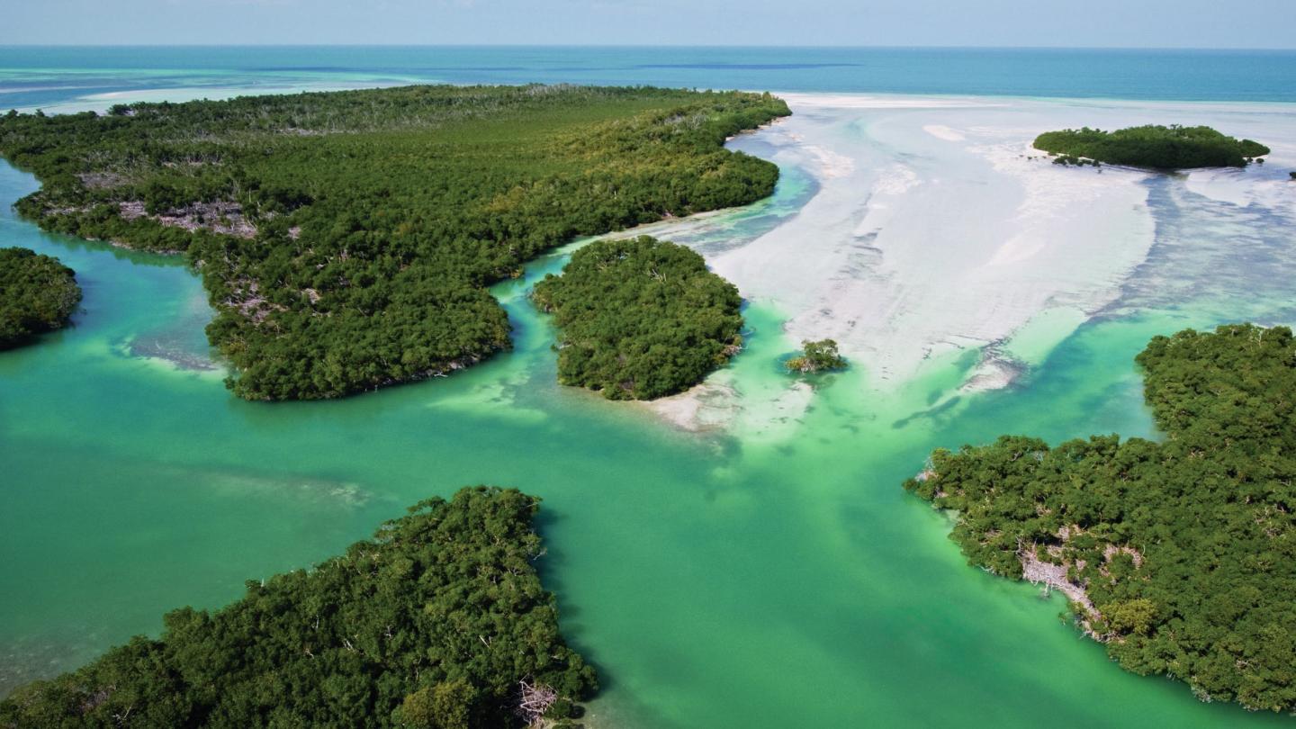 Aerial view of lush mangrove islands surrounded by turquoise water and sandbars.