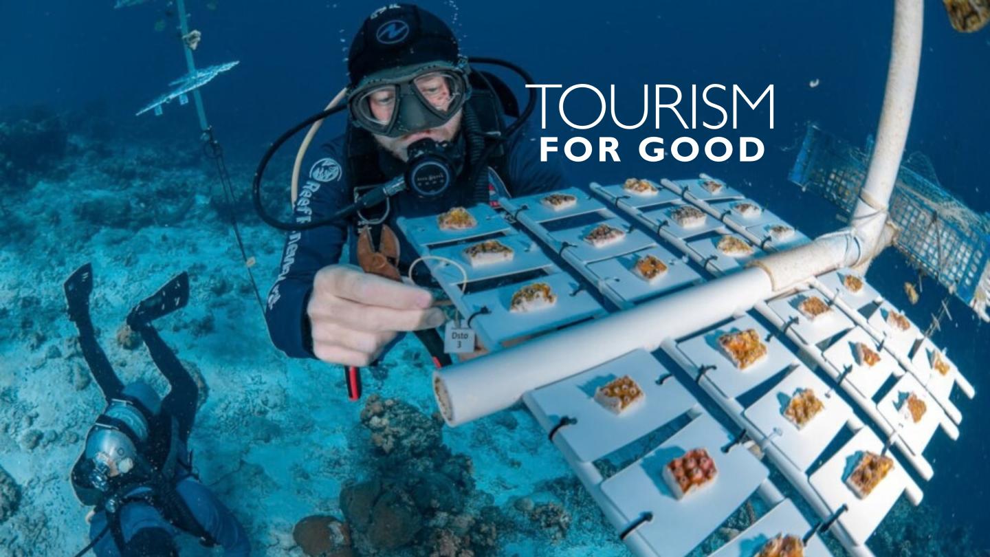 Scuba diver examines a marine debris collection board underwater, Tourism for Good logo.