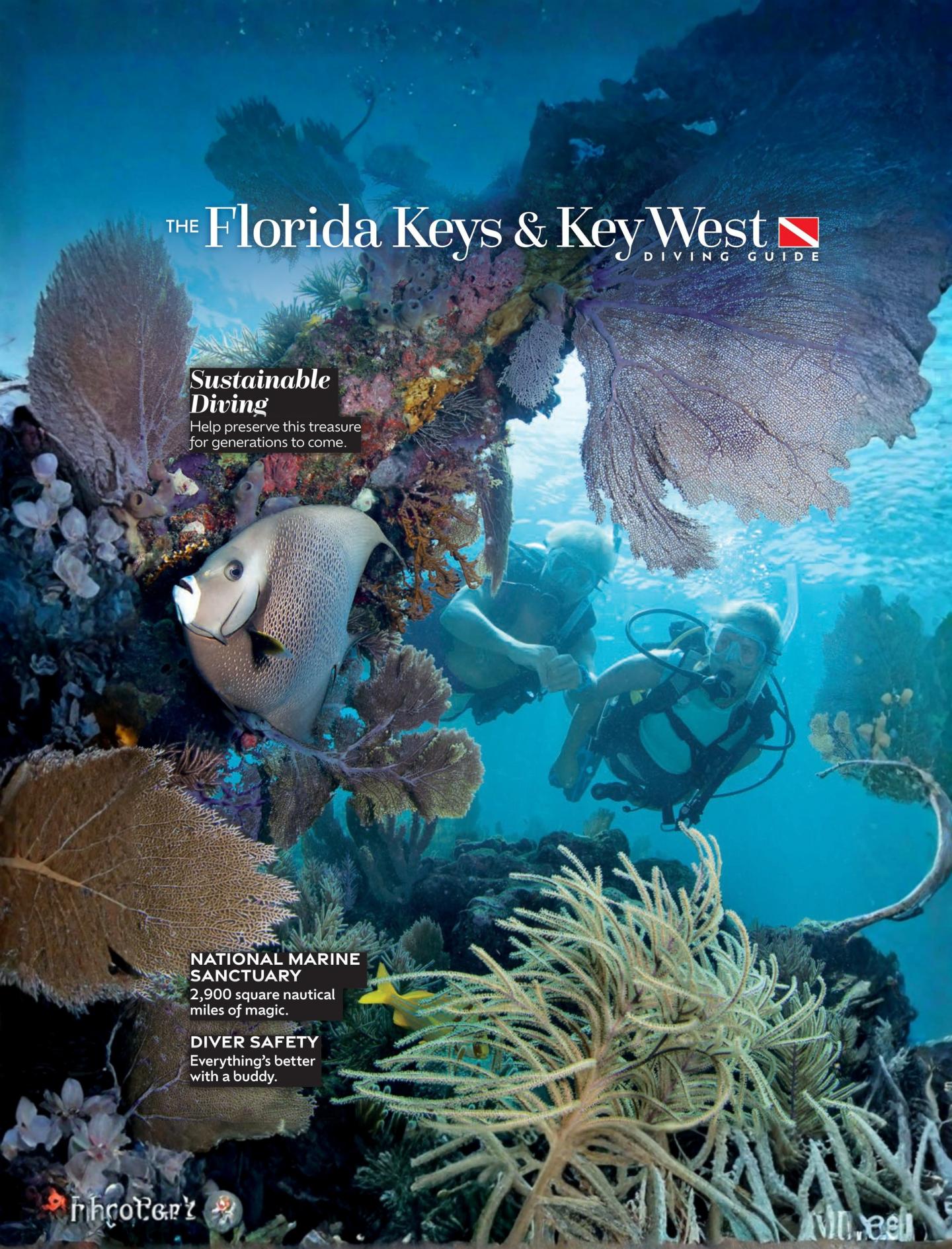 Underwater coral reef scene with scuba diver, sea turtle, and tropical fish.