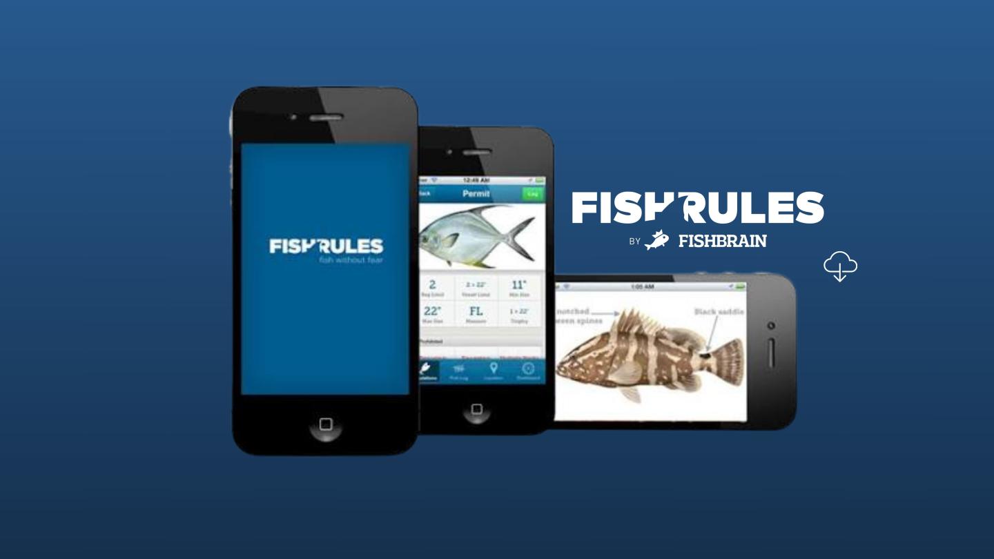 Three devices display the FishRules fishing app against a blue background.