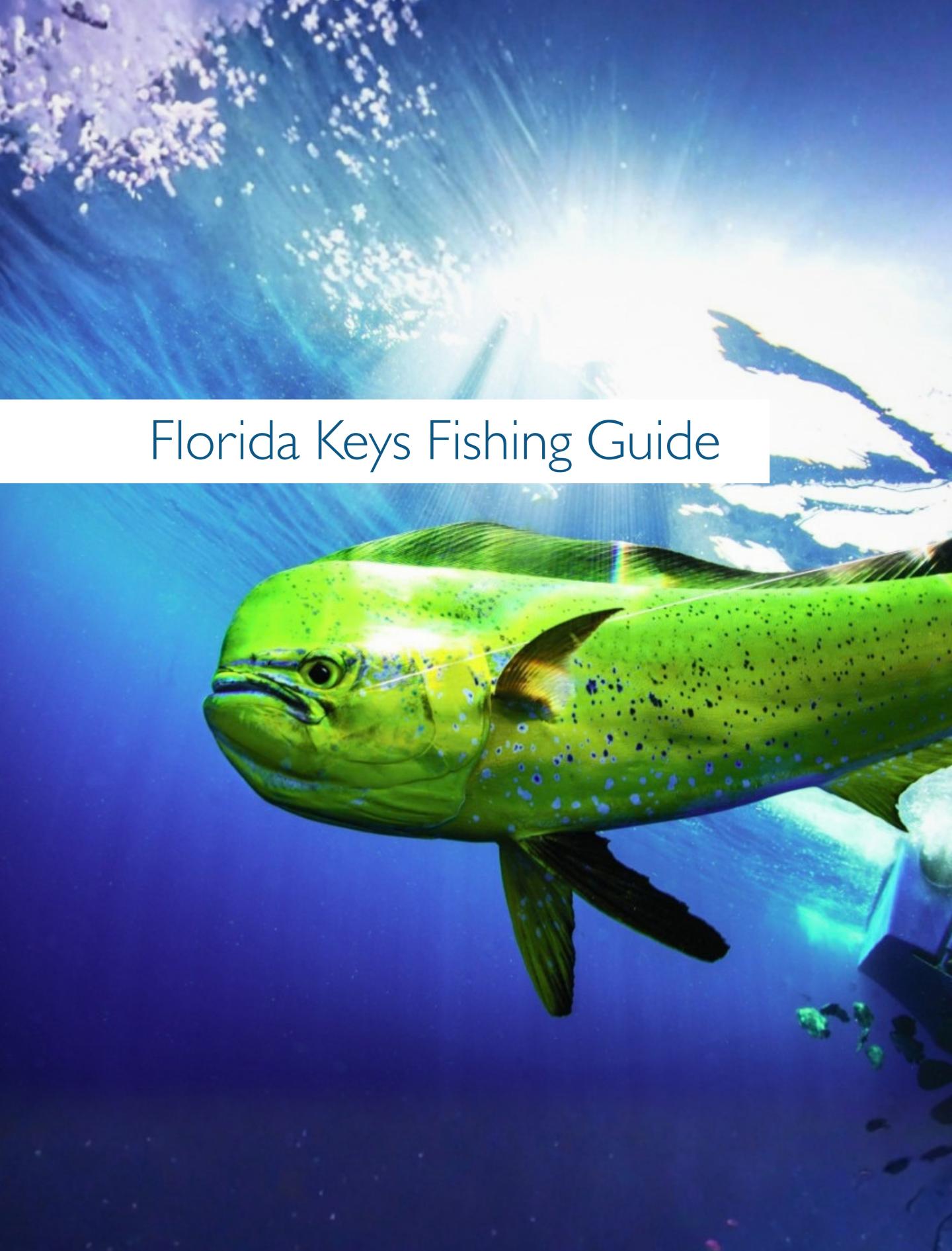 Cover graphic for “Florida Keys Fishing Guide” with a green mahi-mahi underwater.