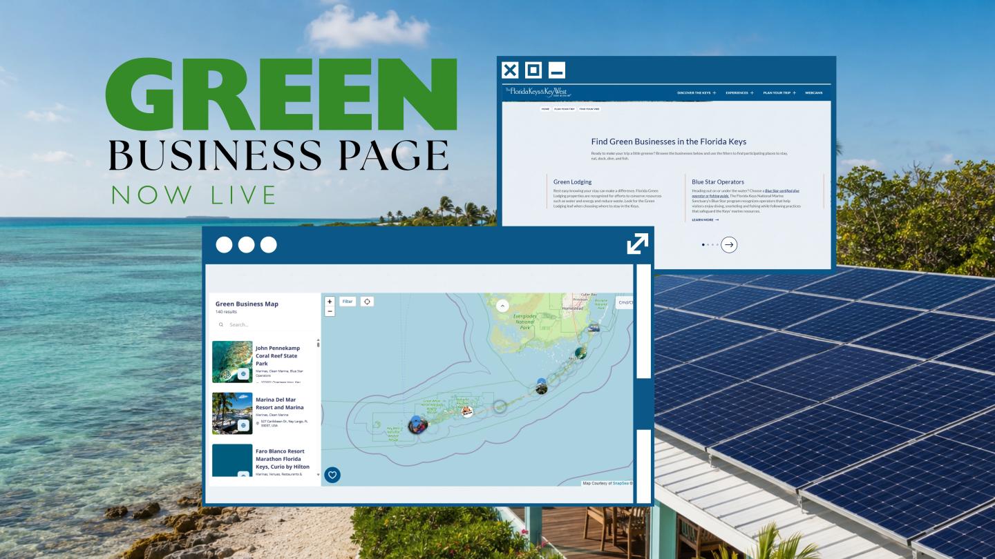 Green Business Page Now websites displayed over solar panels and a green landscape.