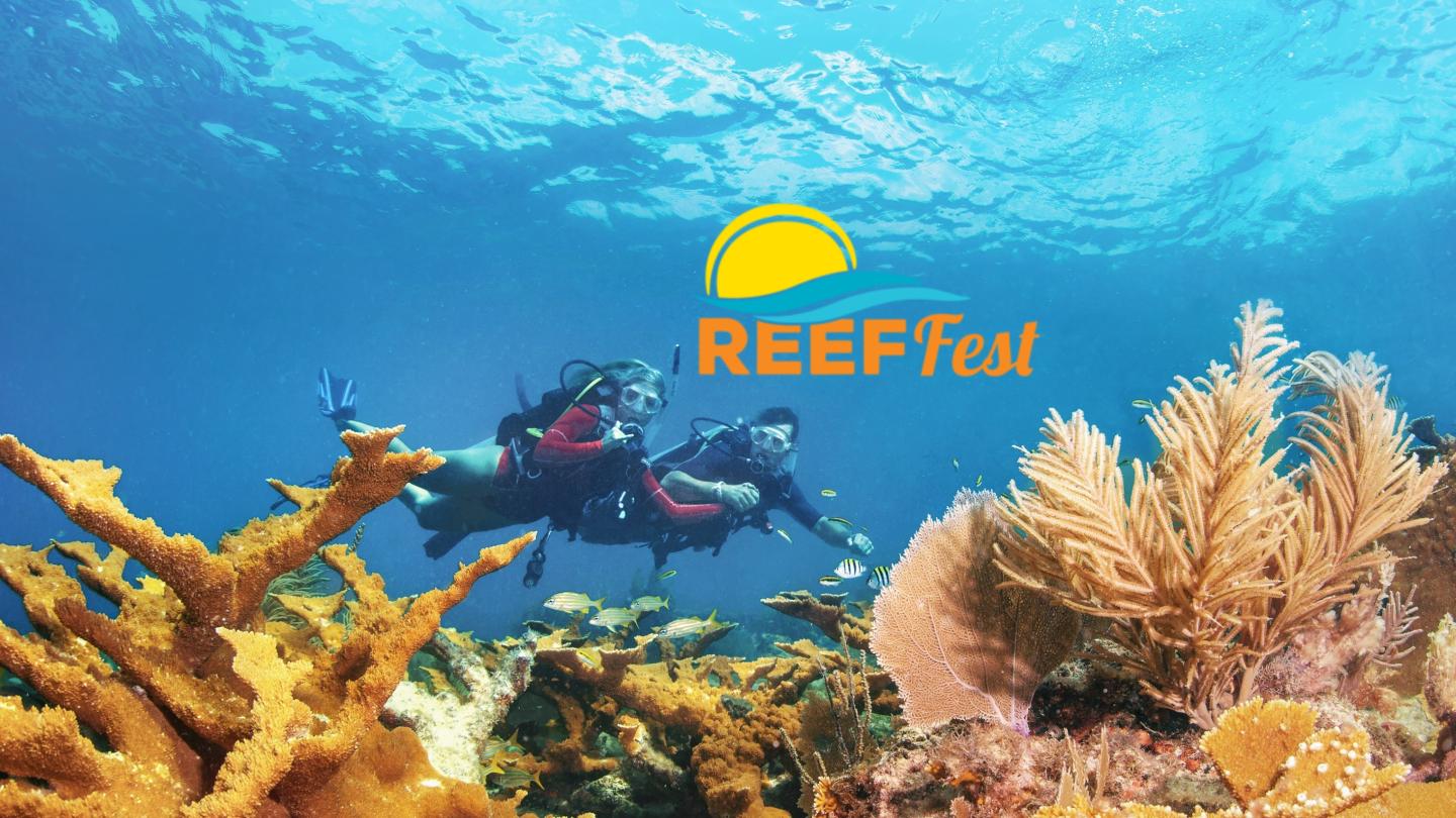 Scuba diver explores a vibrant coral reef beneath a yellow REEF logo.