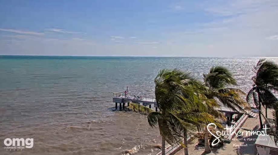 Coastal view with turquoise sea, palm trees, and a small pier under a blue sky.
