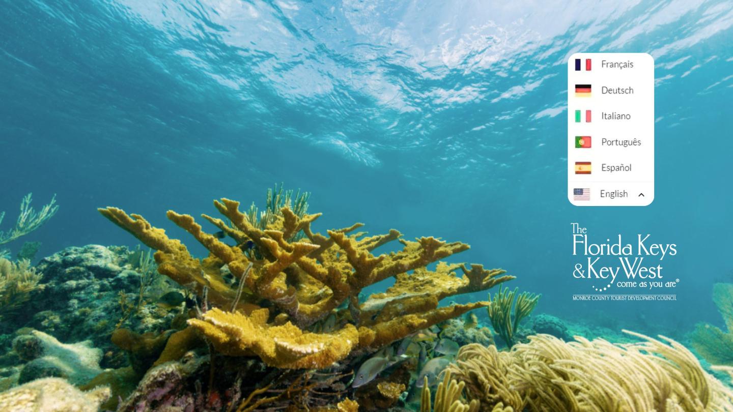 Underwater coral reef with turquoise water and a small floating menu overlay