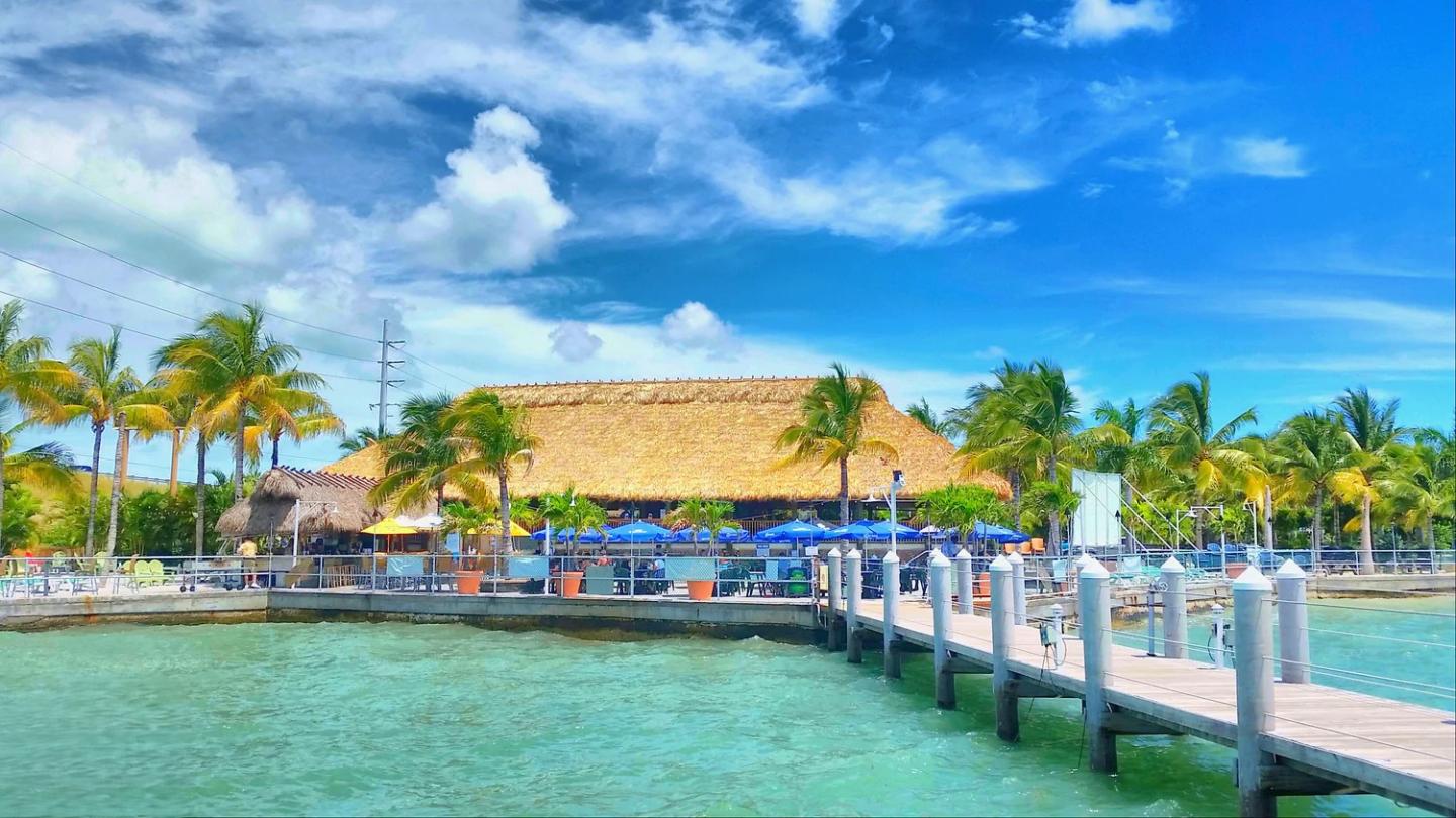Tropical waterfront resort with palm trees, turquoise water, and a wooden dock