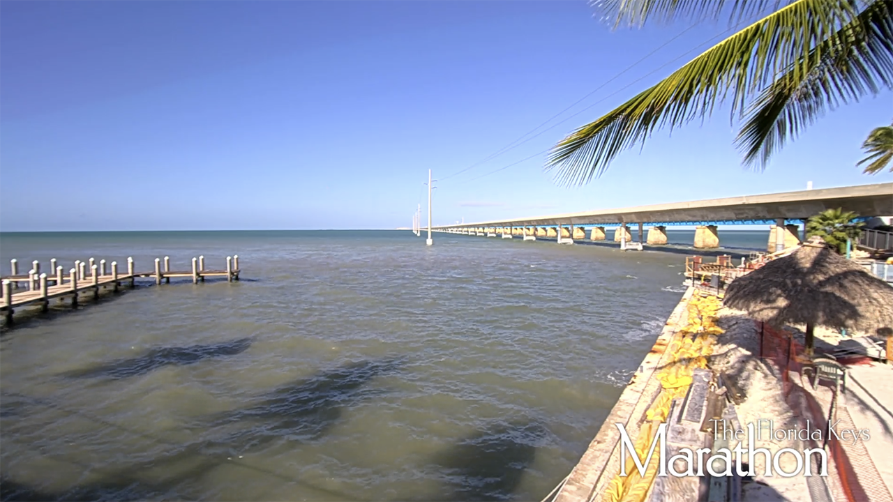 Sunny seaside boardwalk and pier beside calm blue water and palm trees