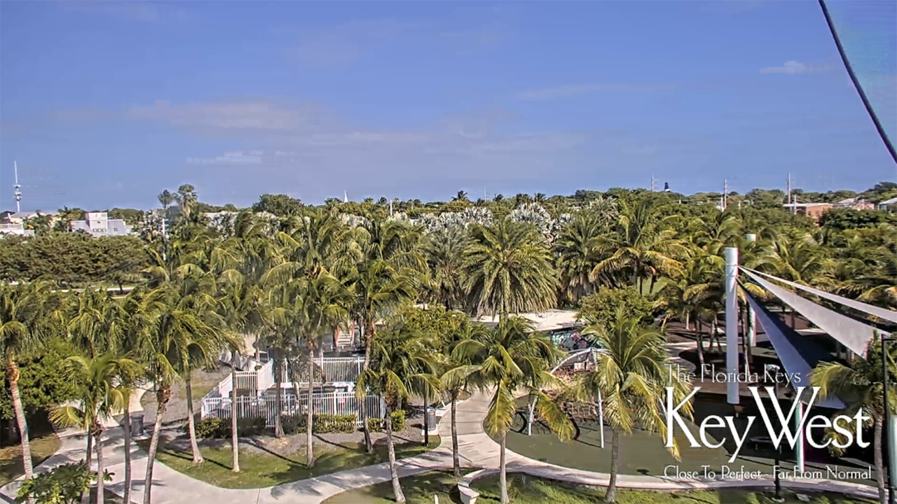 Aerial view of palm-lined resort grounds with ocean beyond.