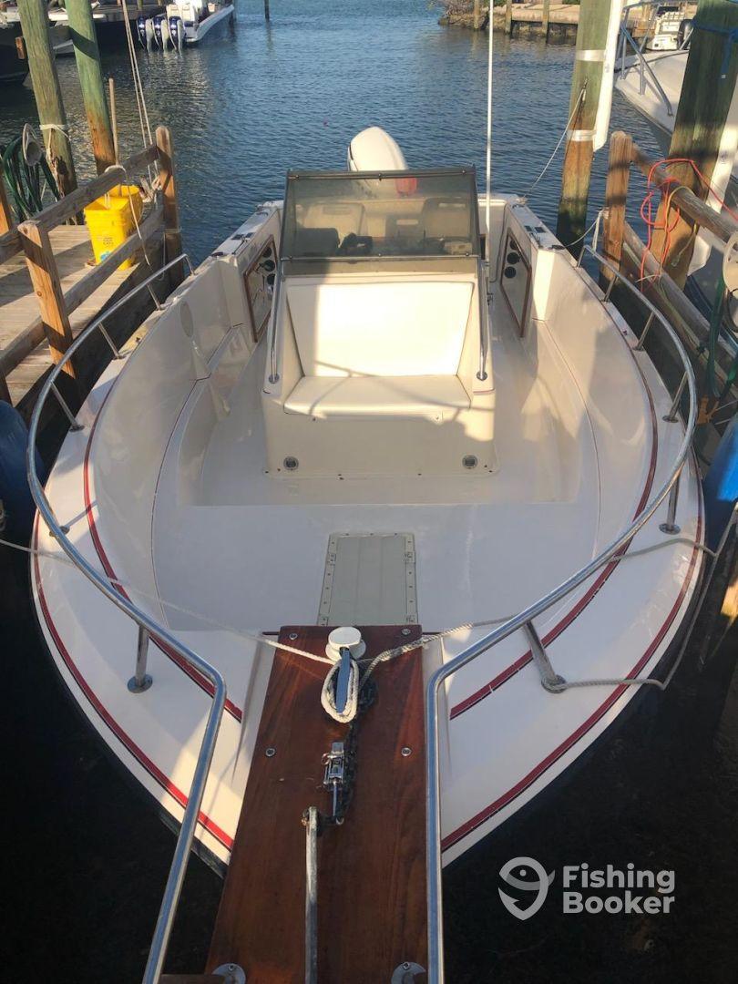 6th Generation Charters