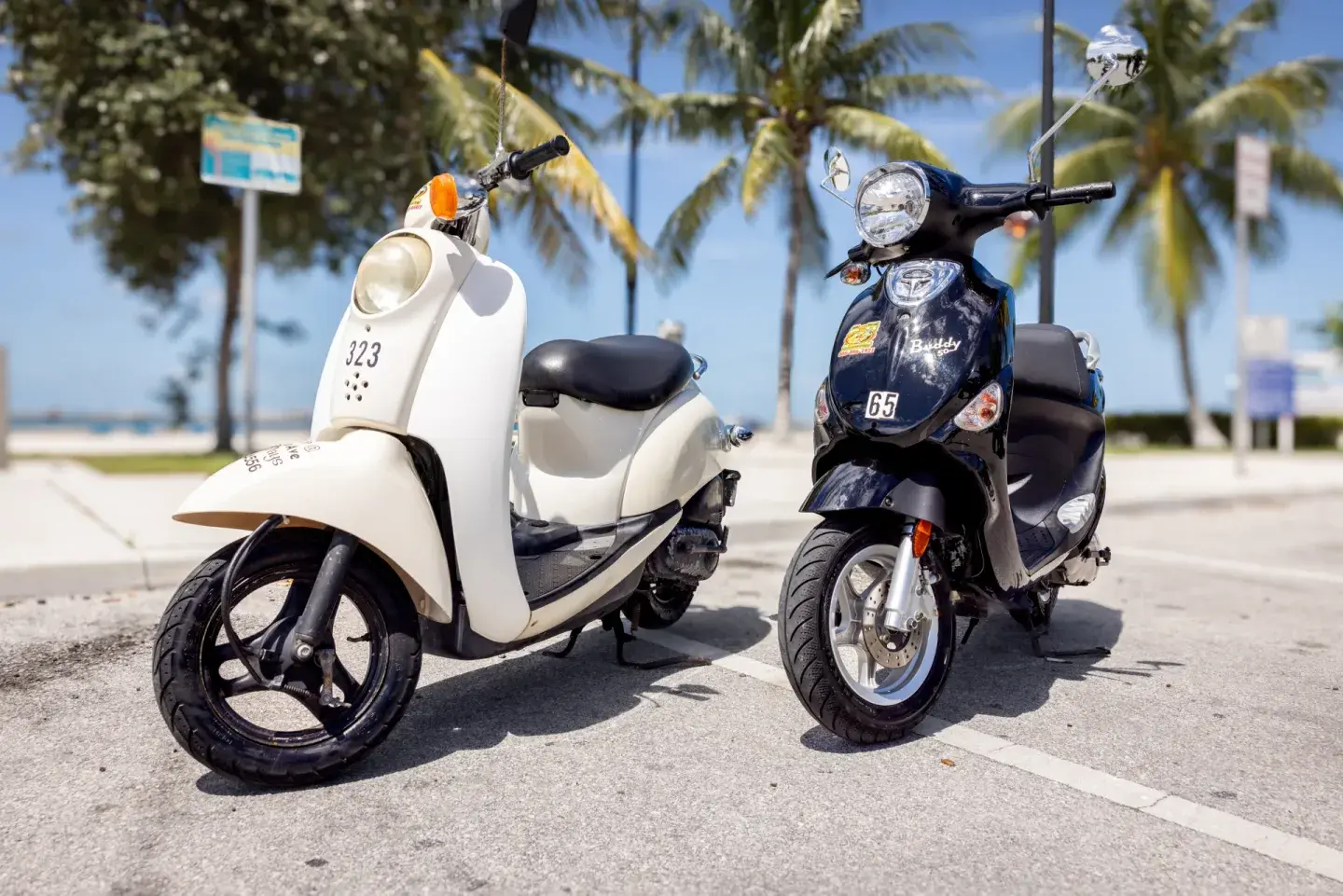 Electric Car Rentals of Key West