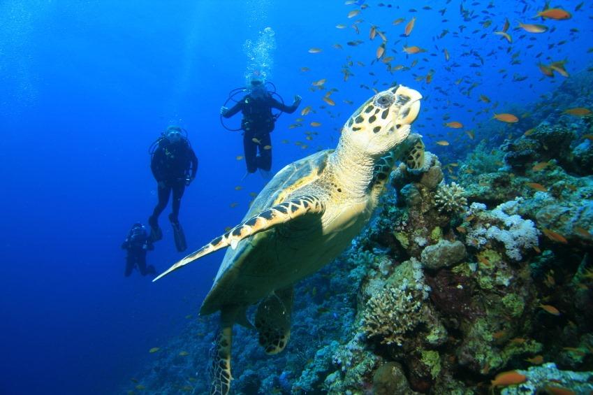 Adventure Watersport Charters
