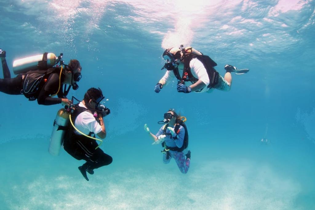 Barrier Free Divers