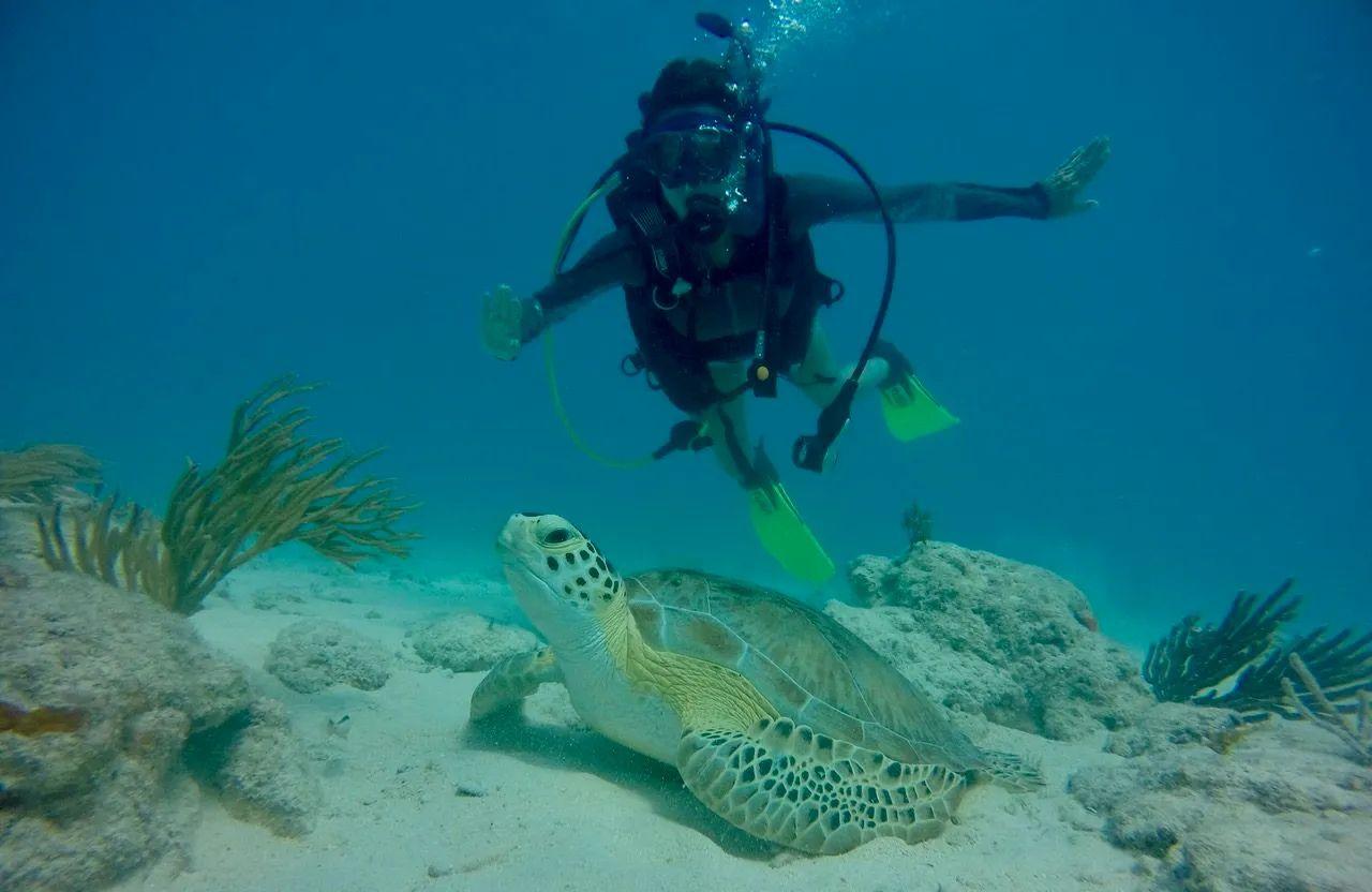 Better Than Most SCUBA