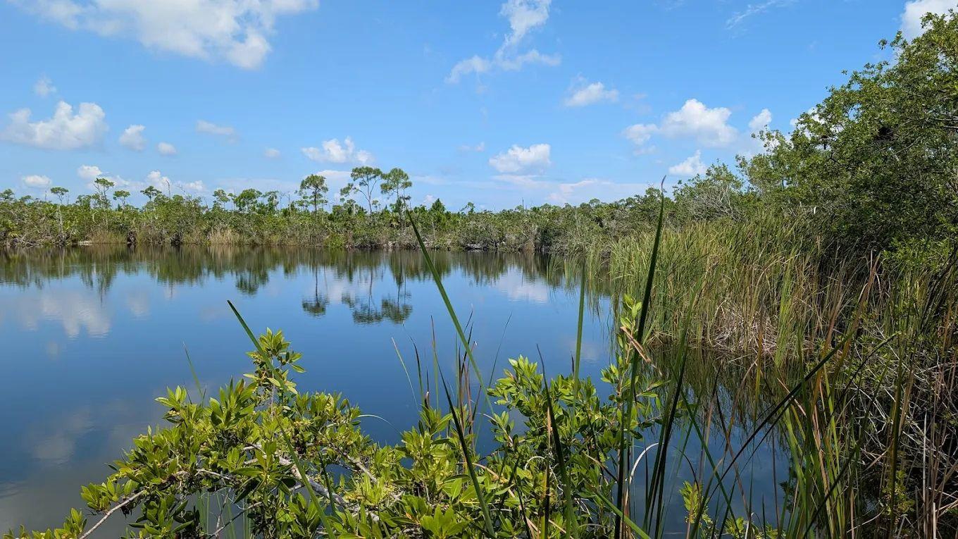Blue Hole Observation Platform