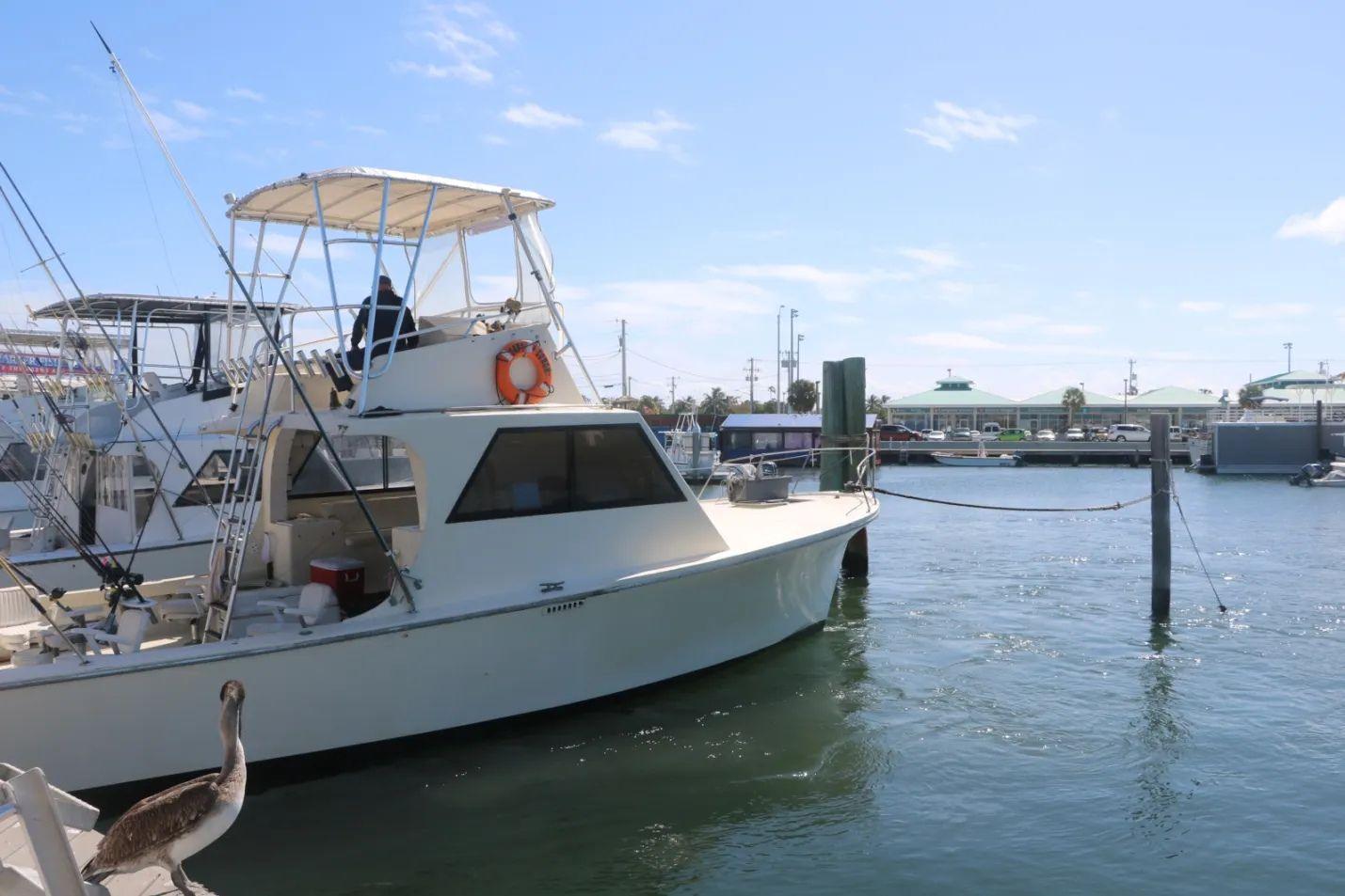Captain Conch Charters