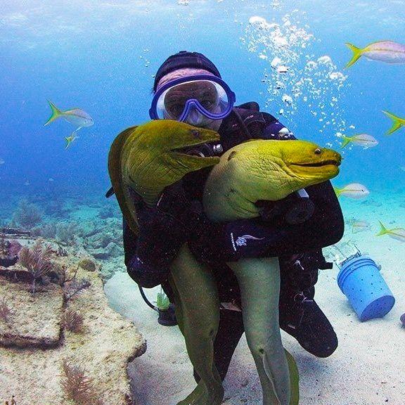 Captain Slate's Scuba Adventures