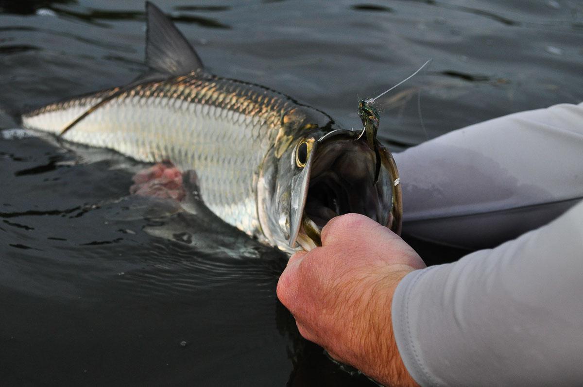 Captain Zach Stells Florida Keys Fly Fishing