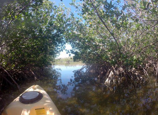 Caribbean Kayaking Tours