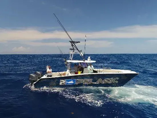 Catchalottafish Charters