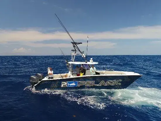 Catchalottafish Charters