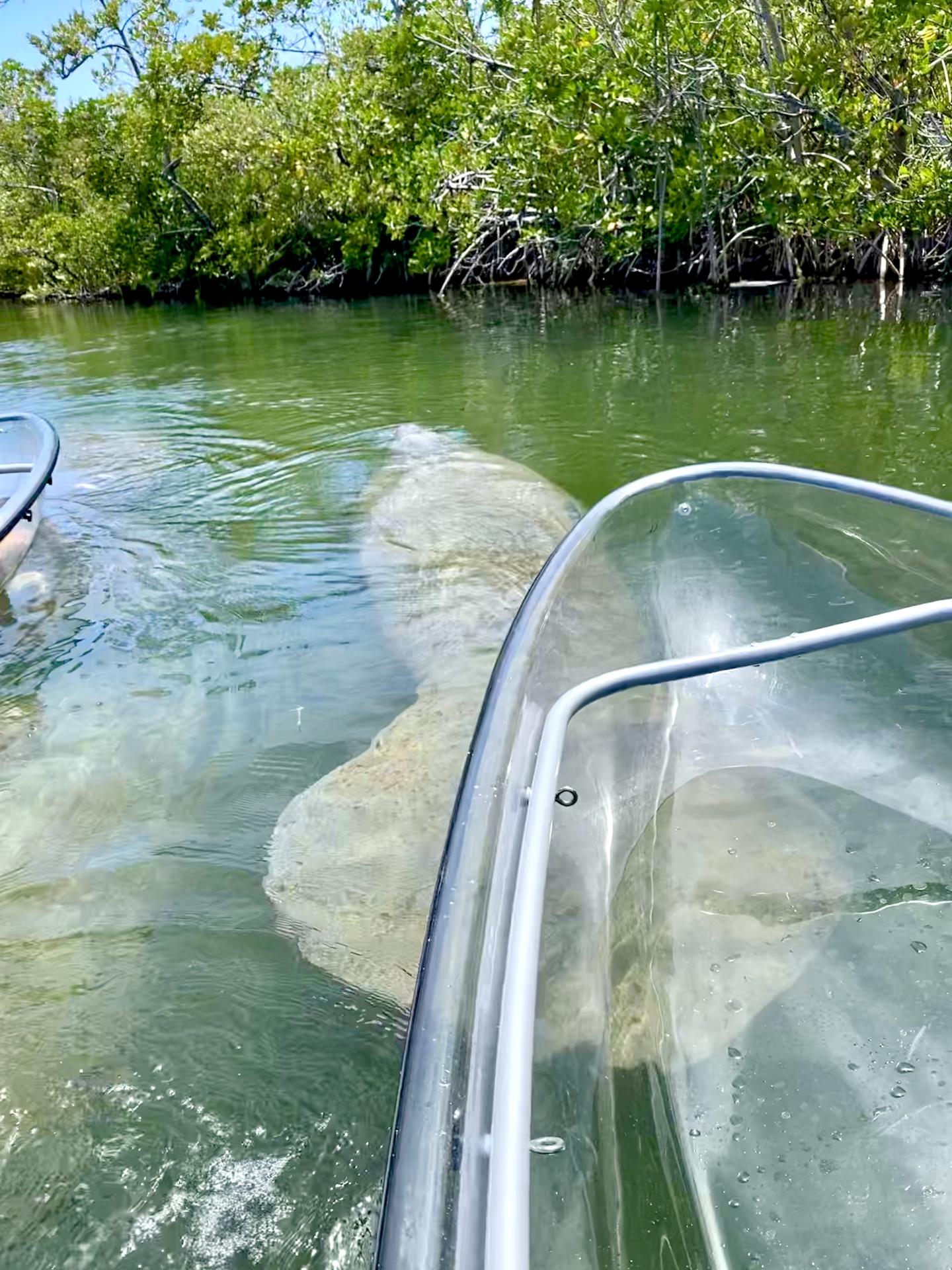 I Can See Clear Kayaking