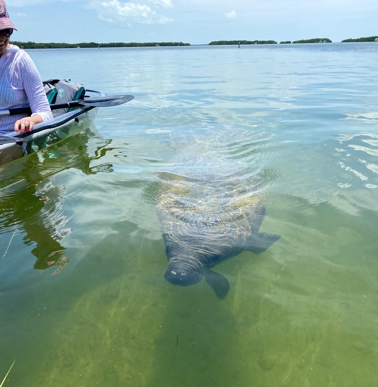 I Can See Clear Kayaking