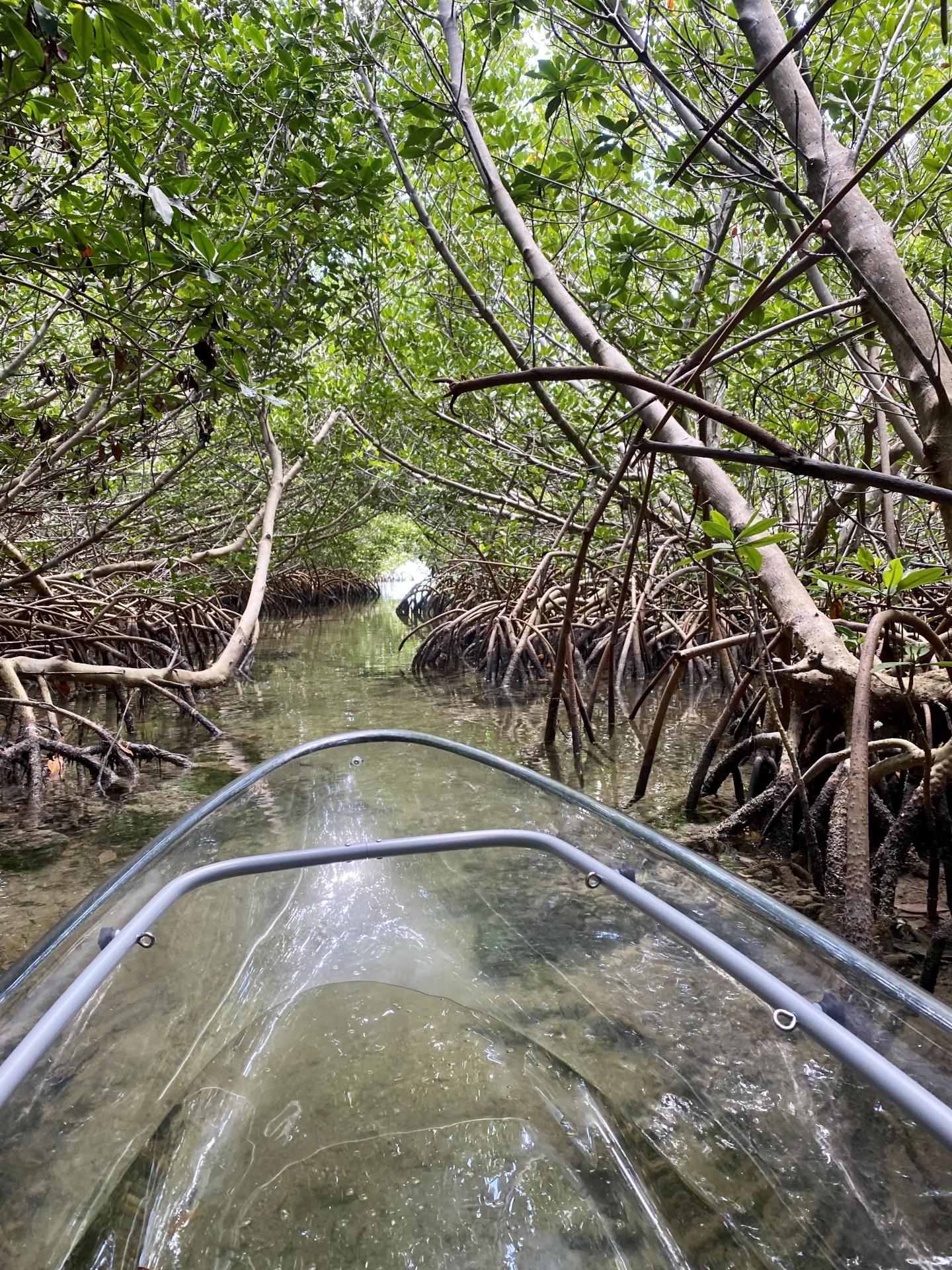 I Can See Clear Kayaking