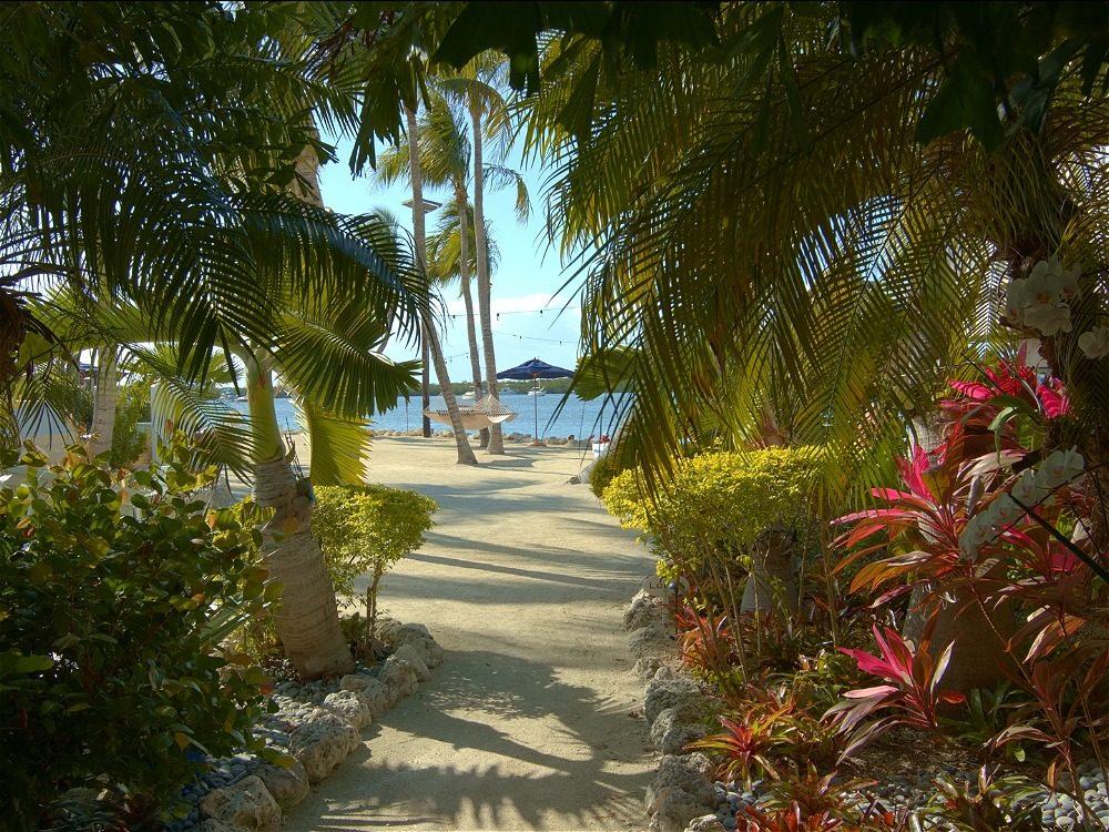 Coconut Palm Inn