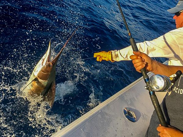 Compass Rose Charters