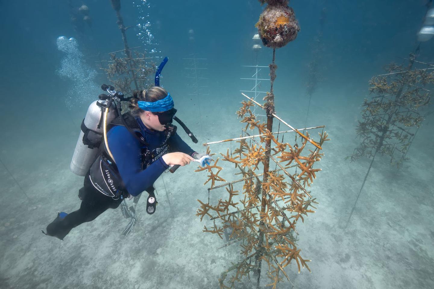 Coral Restoration Foundation Exploration Center