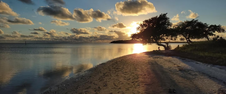 Curry Hammock State Park