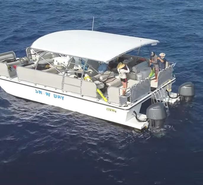 Custom Cat Charters