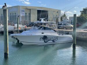 Dauntless Excursions